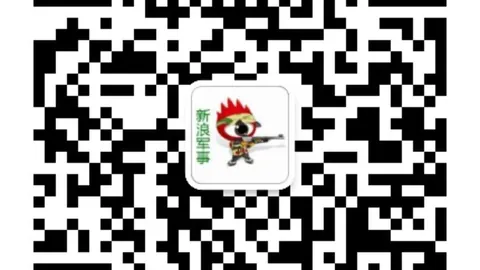 形似非唯一追求雷竞技：深度解析文人画的灵魂表达